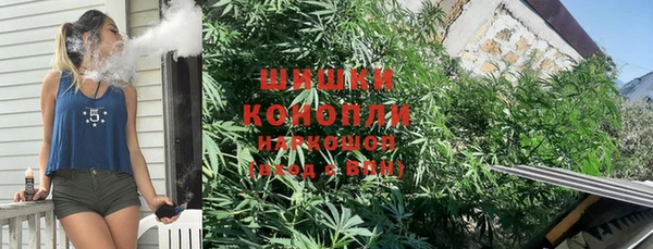 spice Снежногорск