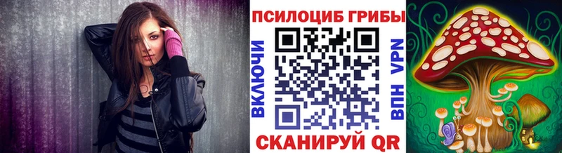 Псилоцибиновые грибы GOLDEN TEACHER  Купить  Лесной 